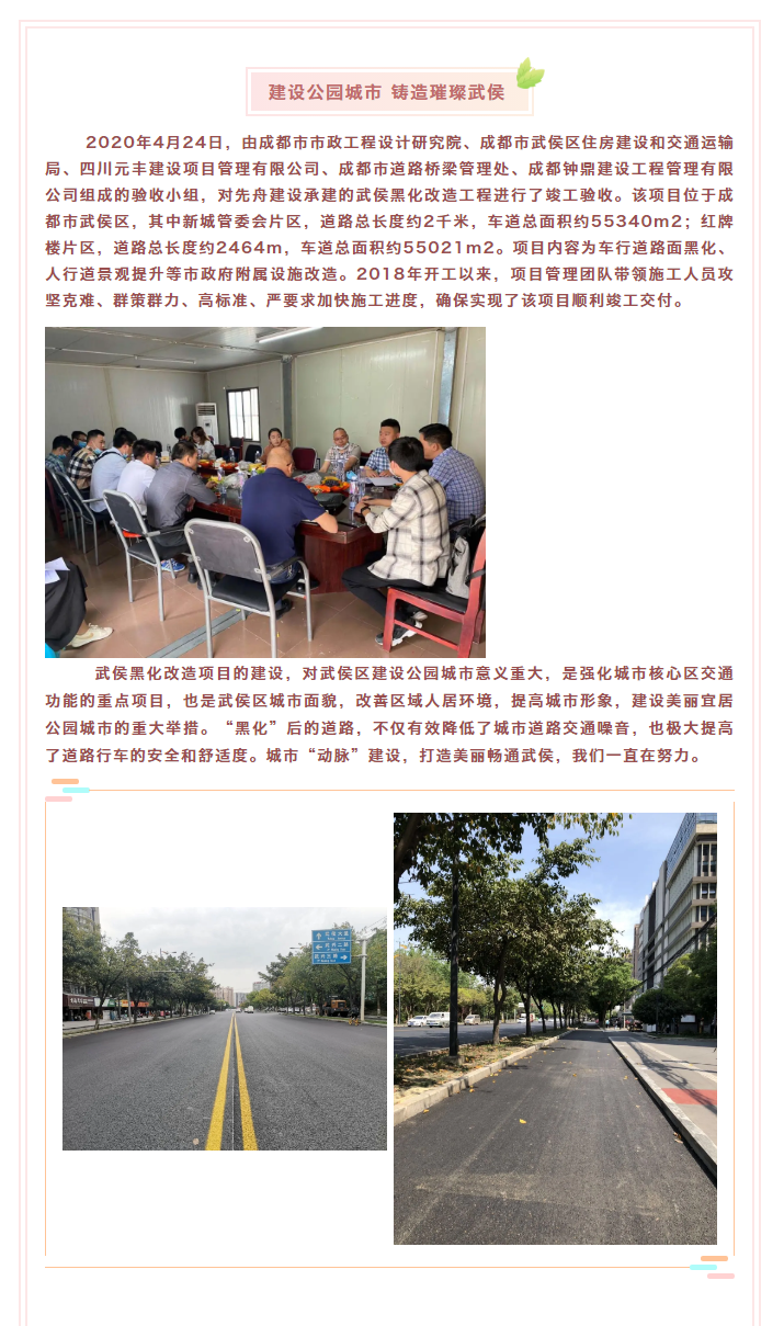 3武侯黑化改造工程竣工驗(yàn)收.png