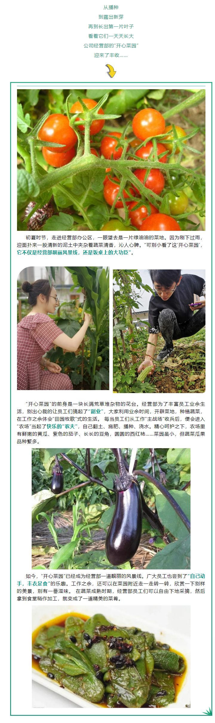 5.31  一線動態(tài)_經(jīng)營部“開心菜園”豐收啦！.png